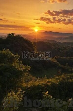 百家乐概率大师-百家乐概率大师，揭秘数字背后的智慧