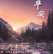 足球325比分网-足球325比分网，球迷的实时信息港湾与赛事分析利器
