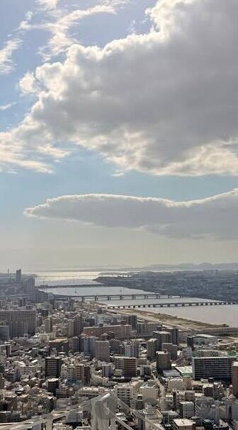 足球比赛弃权 比分-当足球场上的哨声未响，深度解析弃权背后的比分逻辑与体育精神